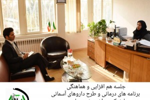 جلسه هم افزایی موسسه خیریه معراج امام حسن مجتبی ع با مدیریت شبکه بهداشت شهرستان ری 
